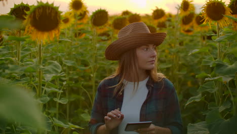 A-girl-walks-across-the-field-with-sunflowers-and-examines-them.-She-writes-their-characteristics-to-an-e-book.